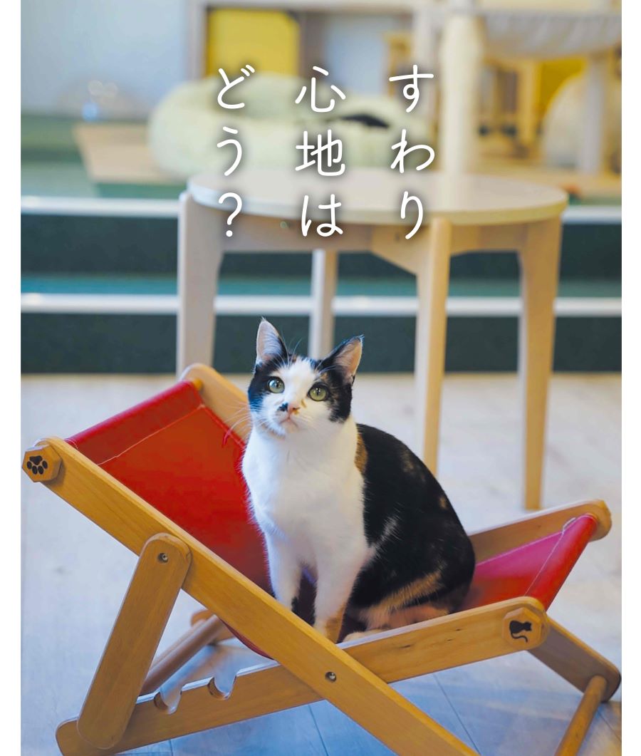 衣装盆・ファイルスタンド・おもちゃ・そのほか – おいたちこば