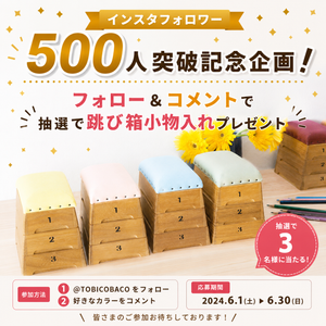 跳び箱収納や乳歯ケースなどの製造と販売：おいたちこばこ の 豊田産業